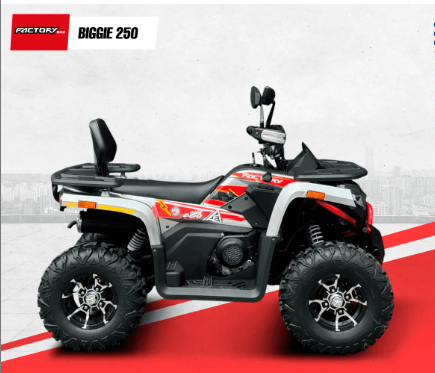 CUADRON FACTORY BIGGIE 250CC