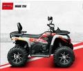 CUADRON FACTORY BIGGIE 250CC