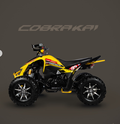 CUADRON FACTORY COBRA KAI 250CC