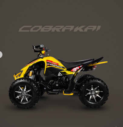 CUADRON FACTORY COBRA KAI 250CC