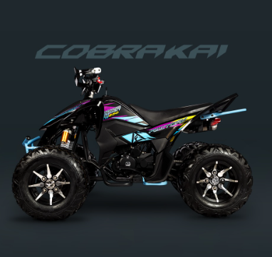 CUADRON FACTORY COBRA KAI 250CC