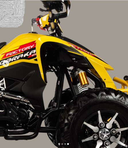 CUADRON FACTORY COBRA KAI 250CC