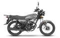 MOTOCICLETA DAYTONA WORK FORCE 150 CC