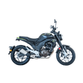 MOTOCICLETA DUKARE BOKKEN DK250
