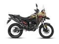MOTOCICLETA DAYTONA DY300 EVEREST DUAL