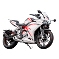 MOTOCICLETA LONCIN GP 300 LX300
