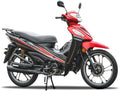 PASOLA LONCIN LX110-13A ( LX110-4III)