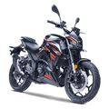 MOTOCICLETA SHINERAY SPIDER 300