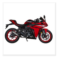 MOTOCICLETA TUKO STORM 300