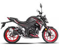 MOTOCICLETA DAYTONA SUPER WOLF 300