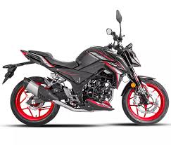 MOTOCICLETA DAYTONA SUPER WOLF 300