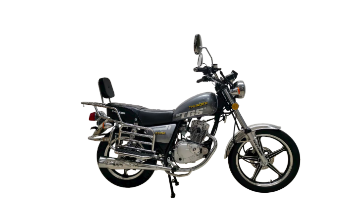 MOTOCICLETA THUNDER TGS 150