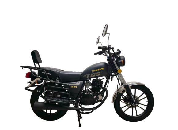 MOTOCICLETA THUNDER TGS 150