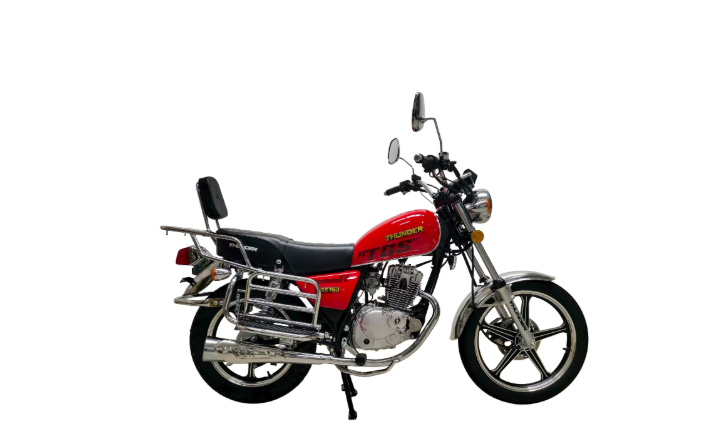 MOTOCICLETA THUNDER TGS 150