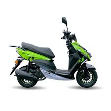 PASOLA THUNDER VENOM 150