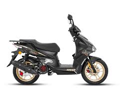 PASOLA DAYTONA AGILITY X 180