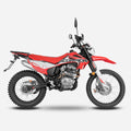 MOTOCICLETA DAYTONA SCORPION 250 AÑO 2027